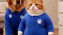 This Cat Weigh?