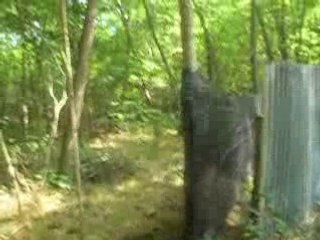 Partie d'airsoft AEG01 - 1erSAS à Sassenay (part7)