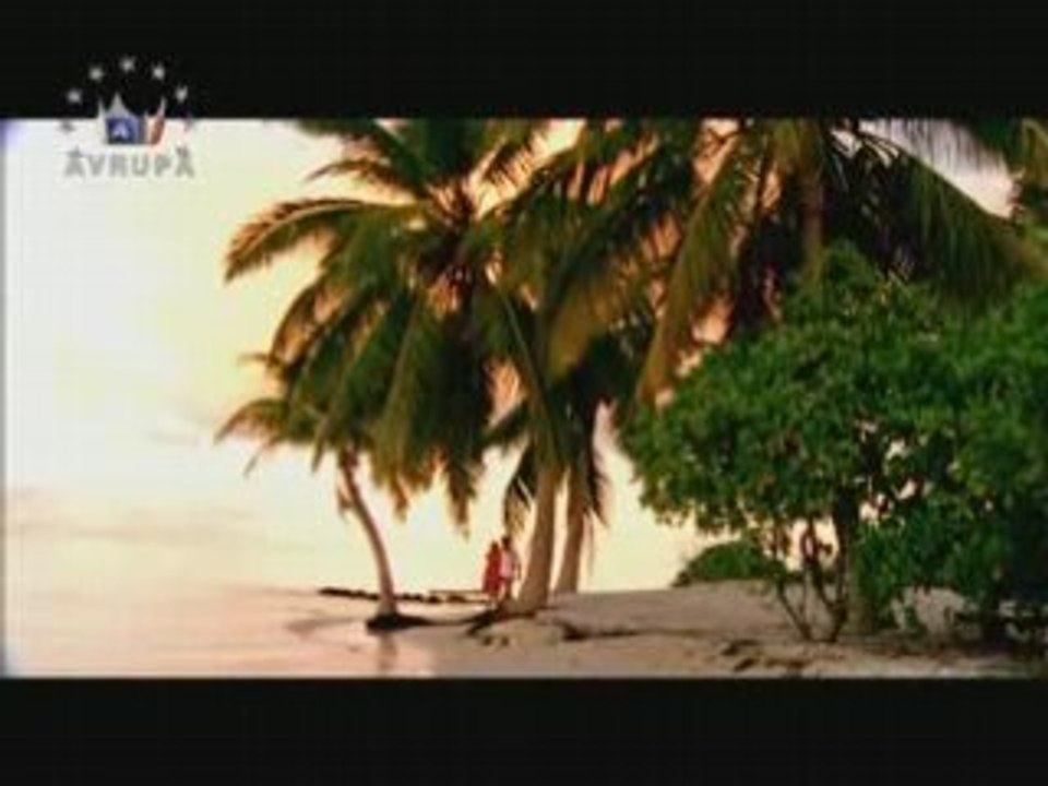 Mahsun kırmızıgül - sarı sarı