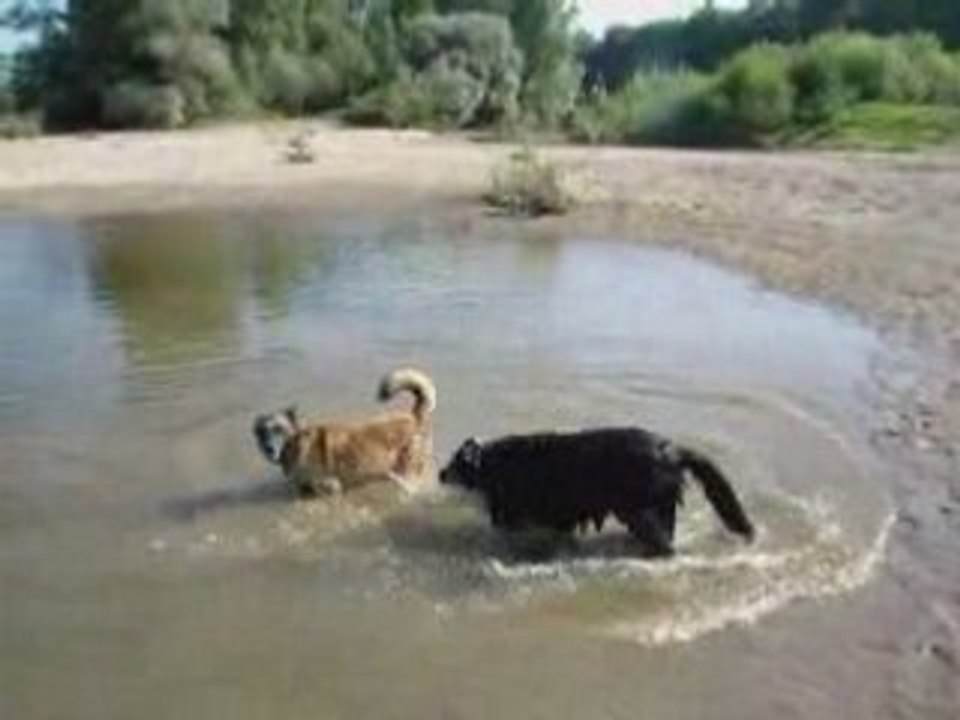 Onyx & Tania, histoire d'eau