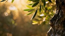 🙏 SI ESTÁS VIENDO ESTO HOY, ESTA ORACIÓN ES PARA TI | LUNES 7 DE SEPTIEMBRE