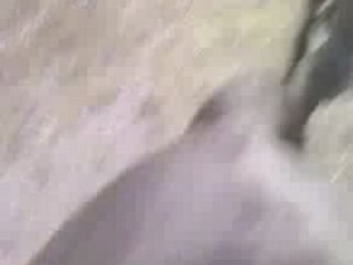 Micro Videp de bayade a lamotte