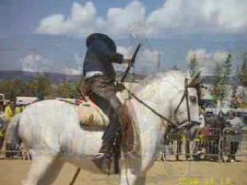stage d'equitation à Barcelone parmi les chevaux andalous