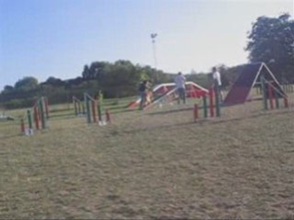 Tt_0001