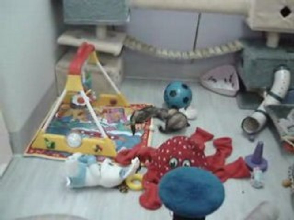 pirouette et virgule