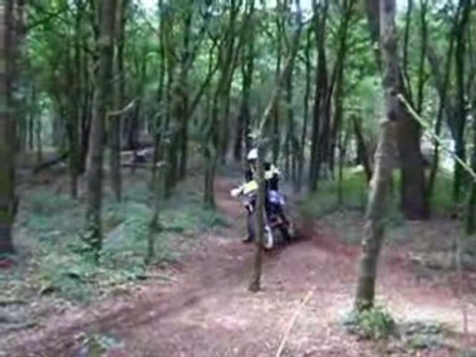 IMGP1515