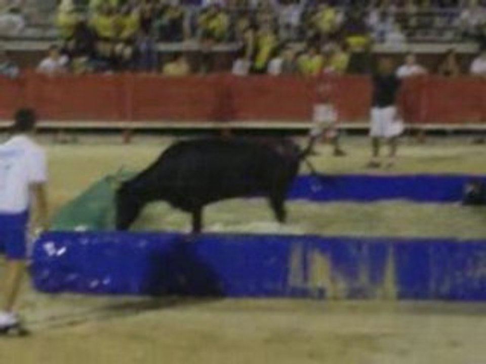 Toro7