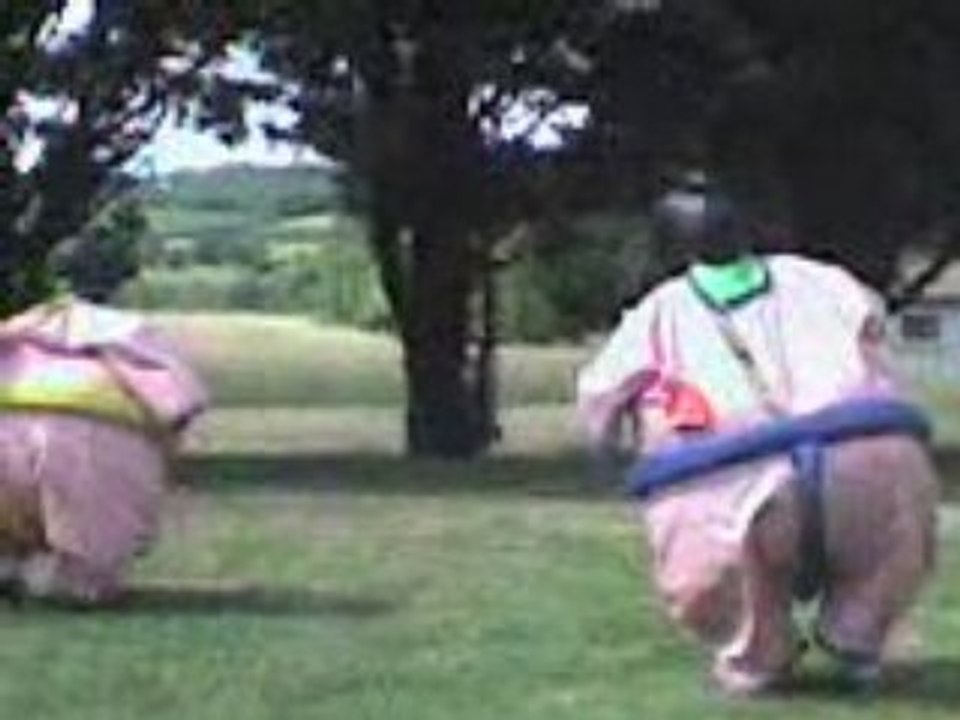Sumo