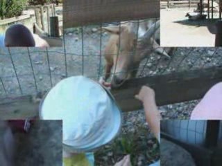 La ferme arc en ciel