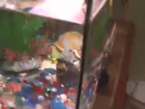 LES ENFANTS TERRIBLES AU FESTIVAL D'AVIGNON