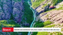 Tunceli’de endemik dağ sarımsağı toplayan 3 kişiye 2 milyon 97 bin lira ceza