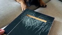 🐾 Wooden Dog Scratch Board – Natural Nail Filing & Grooming Tool