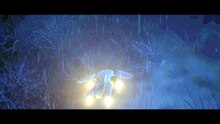 Halo Campaign Evolved || La Búsqueda