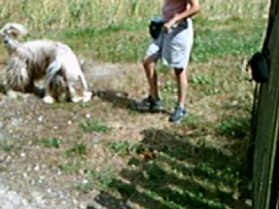 Uhlan objet appât réussite