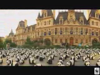 1600 pandas à Paris Bonus