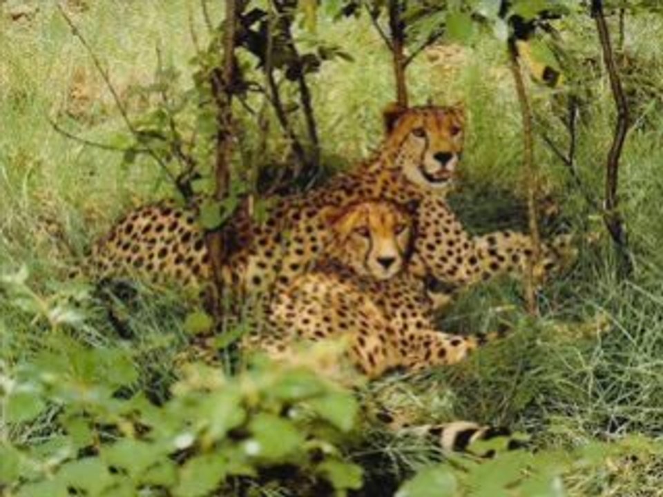 SansTitre_0006