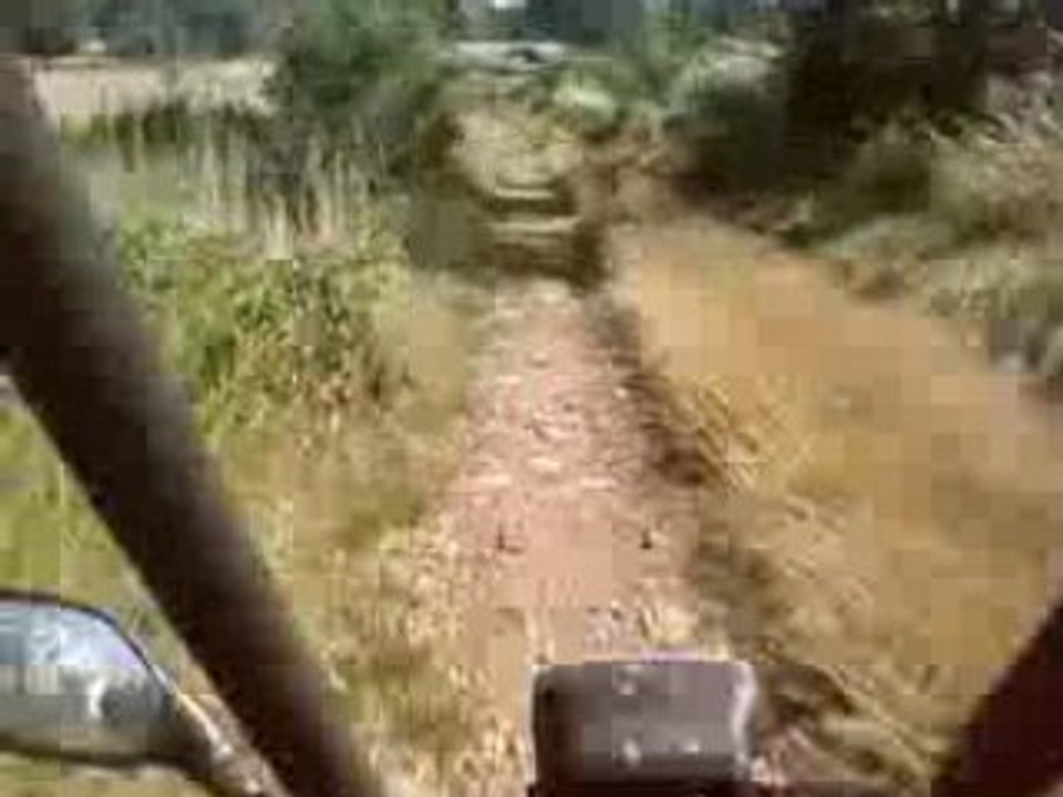 Avec le buggy a Boeuf .