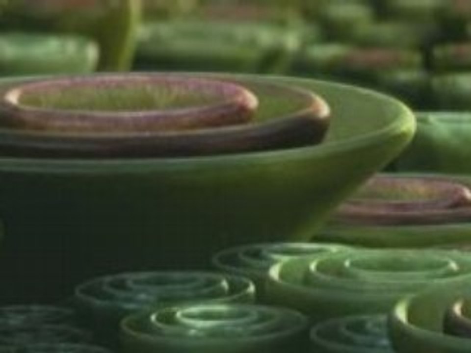 Trailer THX Amazing Life