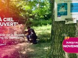 Agenda des Sorties du 9 au 11 septembre 2026