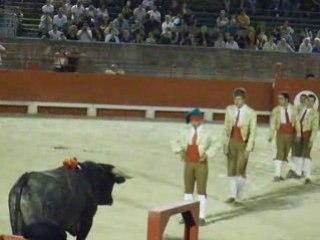 Corrida portugaise beaucaire 2008