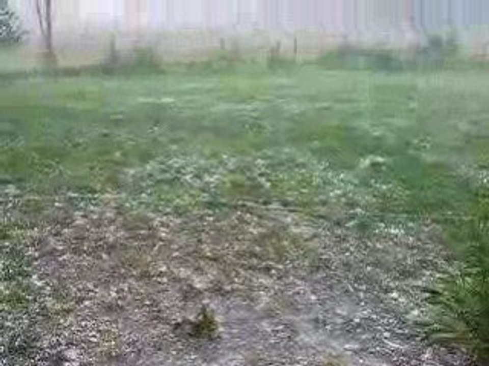DSCN1260