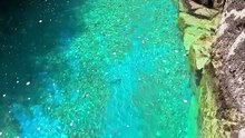 The clearest river I’ve seen 🌲