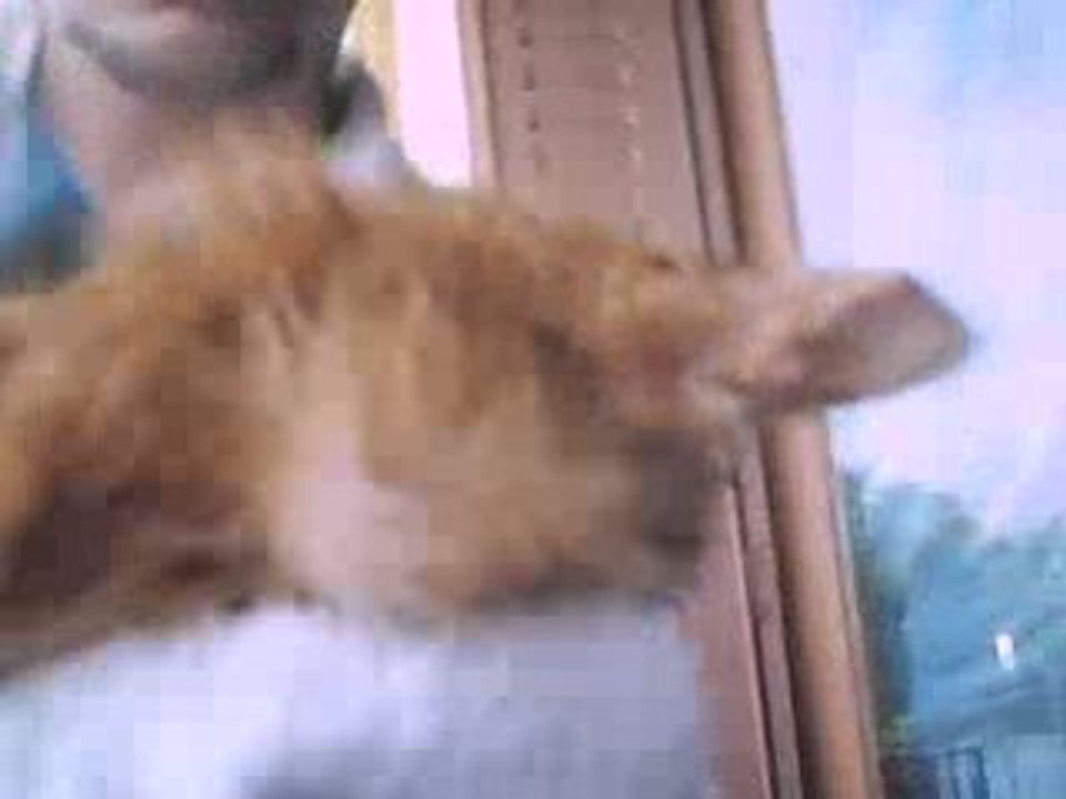 suite douche de dina