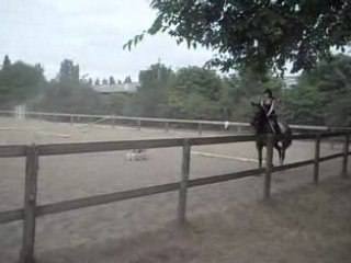 Orus trot 1