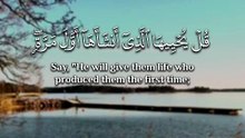﴿ أَوَلَمْ يَرَ الْإِنْسَانُ أَنَّا خَلَقْنَاهُ مِنْ نُطْفَةٍ فَإِذَا هُوَ خَصِيمٌ مُبِينٌ ﴾