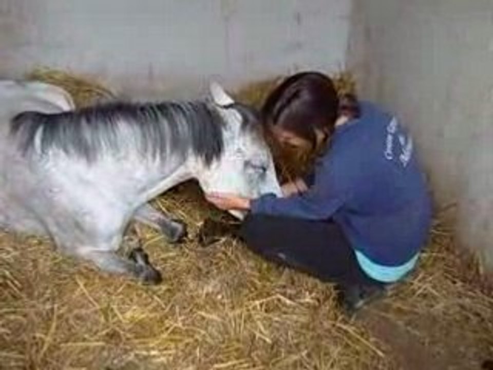 18 Juillet centre aéré ménaret 087