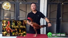 tpvid