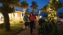 Gli scherzi della pianta finta