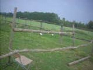 Video cso liberté ibis