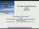 MENTAL COACHING STRESS VOORKOMEN PREVENTIE THERAPIE BURNOUT