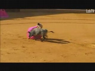 Diego Urdiales en Tudela