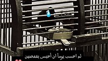 IMG_1089