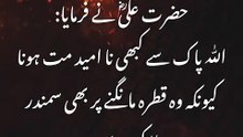 Islamic Learning 786 | Hazrat ali na farmaya #ali #husain #muhammad #quotes