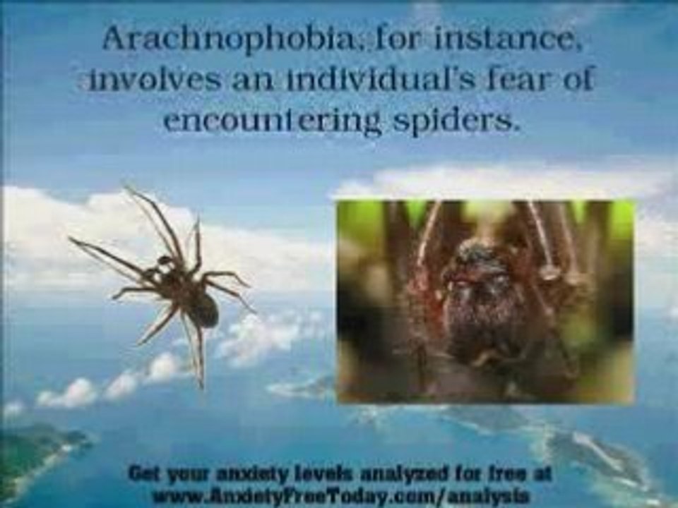 Discover the Different Types of Phobias Today