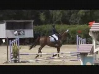 ALICE NORTON CSO CHAUFFRY 60