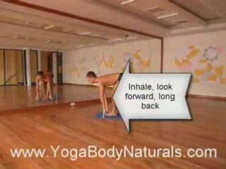 Ashtanga Yoga Free Video: Sun Salute A