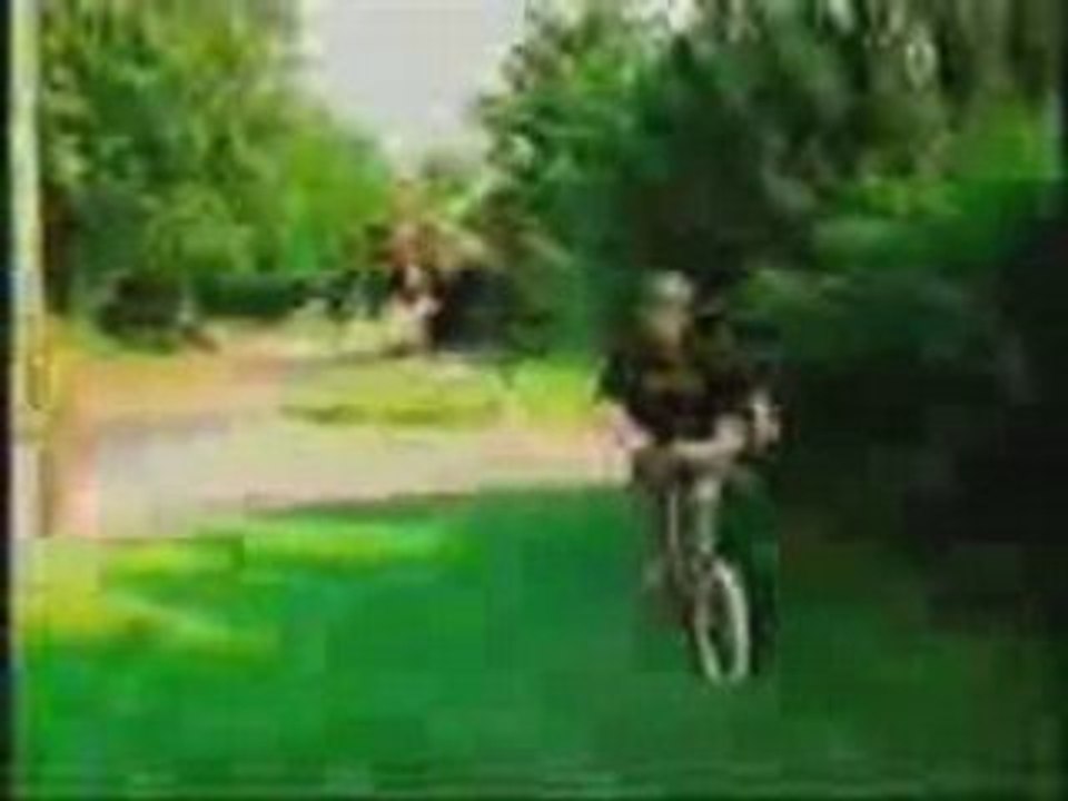 BAM margera