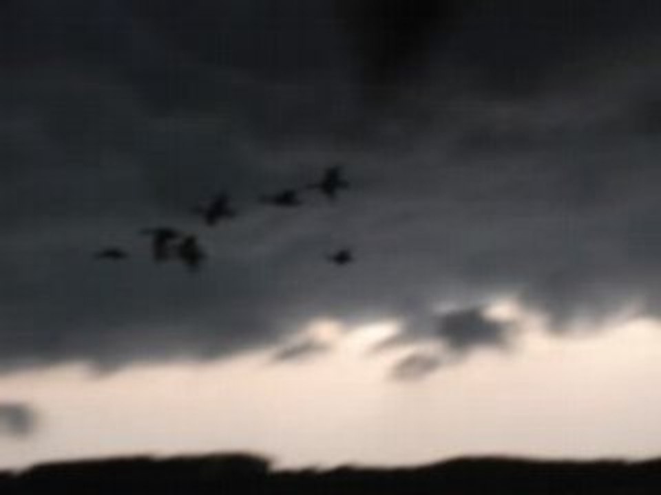 Passée avant orage le 28 juillet 2008