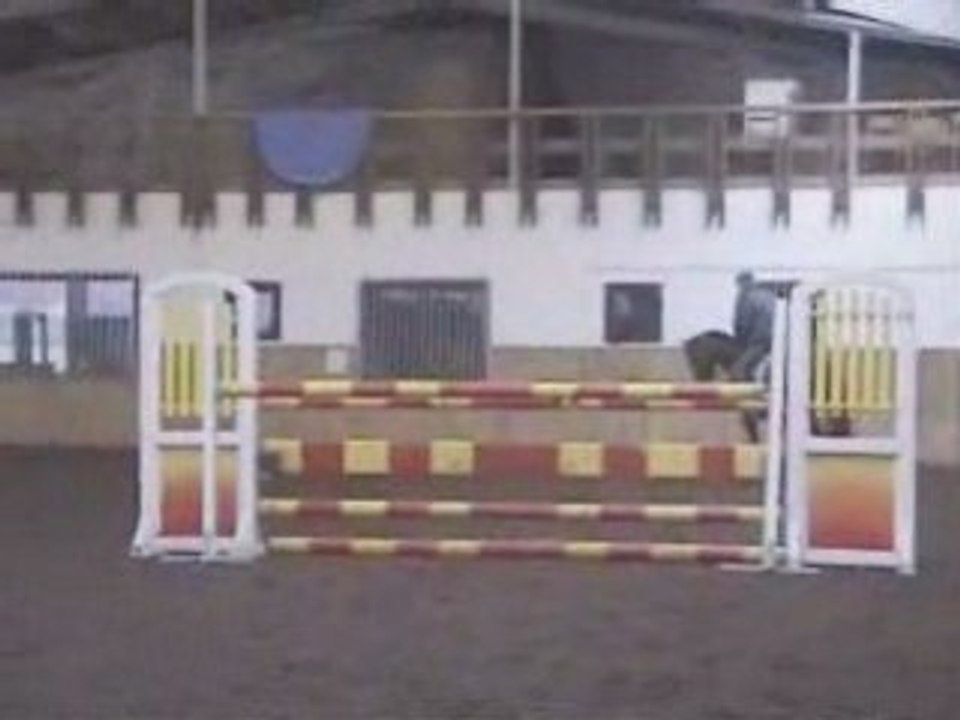 Hongre 7 ans gros moyens