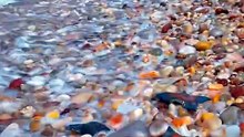 Come see the 12 most beautiful beaches in the world #popular #Science #beaches