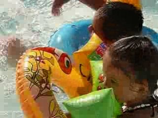 les loulous a la piscine