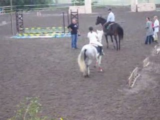 EQUITATION