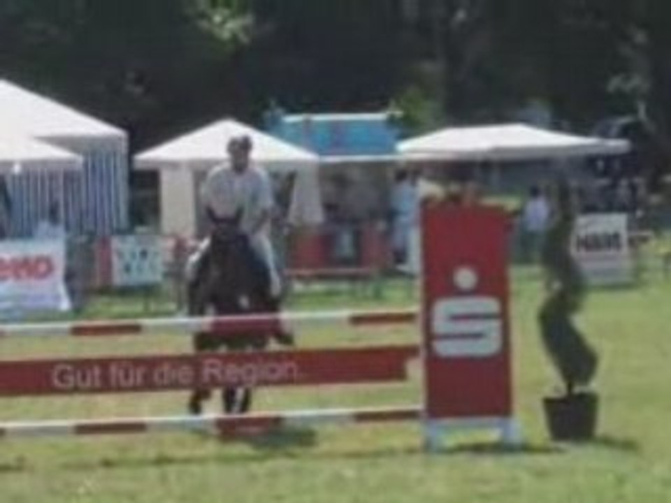 Hongre 5 ans, hunter, cso, complet