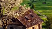 A Peaceful Life in the Countryside🌿🤍