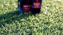 Original Maral Gel In Dubai UAE