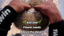 What if a skydive could grow a forest？ 🌵 ｜ Insta360 Ace Pro 2 #shorts